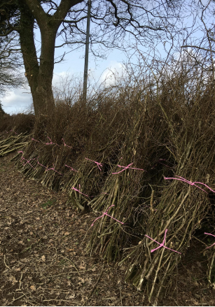 Mon Fournil soutient nos corvées de&nbsp;fagots