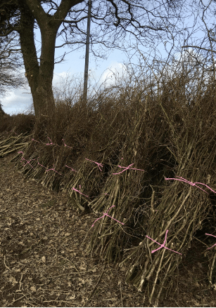 Mon Fournil soutient nos corvées de&nbsp;fagots