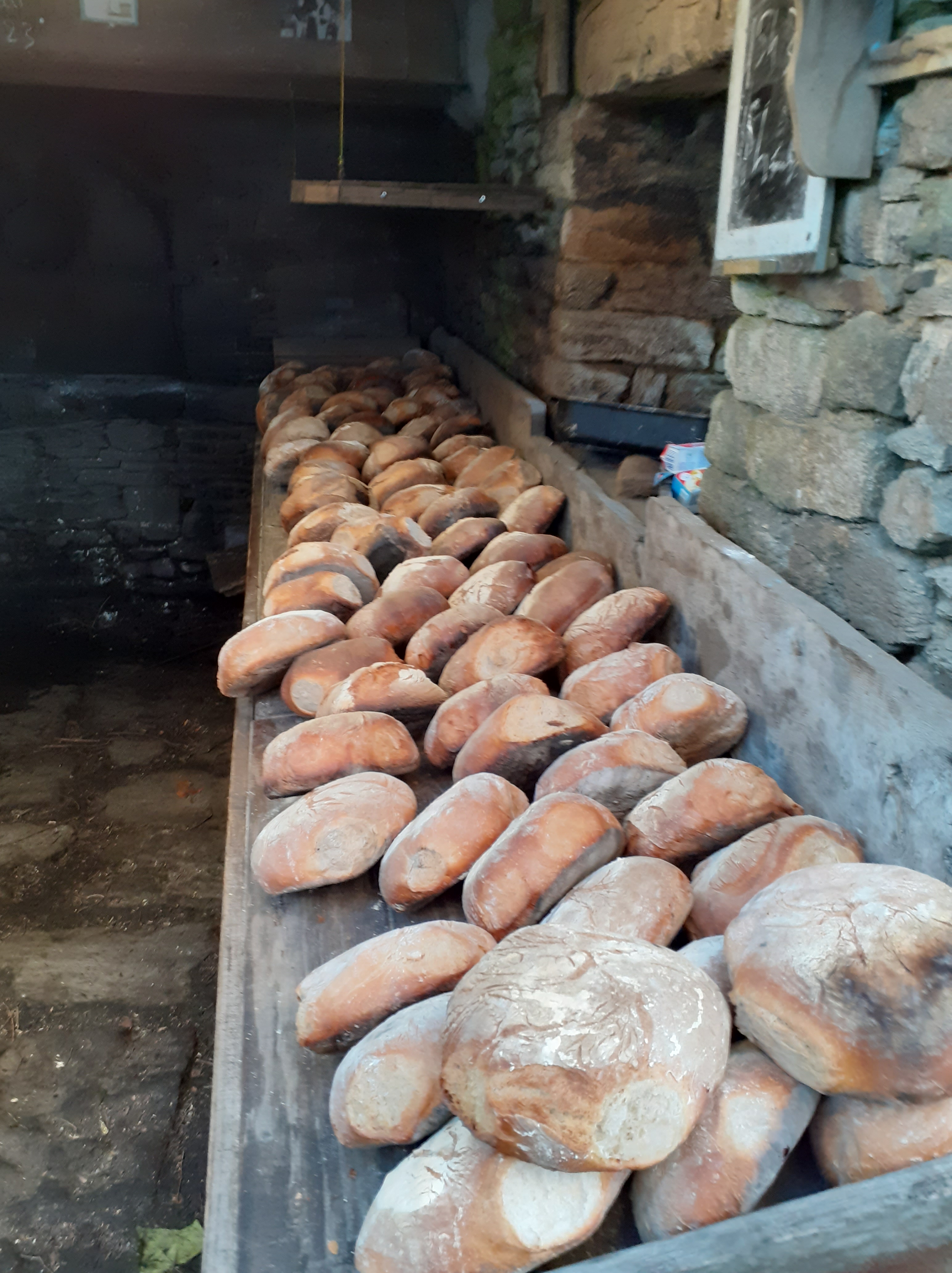 Deux journées exceptionnelles autour du Pain Ancestral à Plouguenast-Langast !